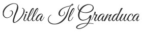 VG - Logo.jpg